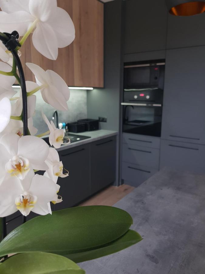 Luksusowe Apartamenty Na Torunskiej Квидзин Екстериор снимка